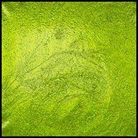 Lemongrass, 15ml Jar, Primary Elements Arte-Pigment